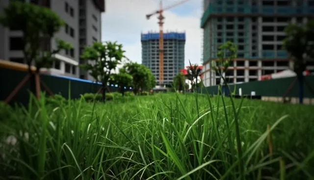 短视频广告设计中的效果评估关键环节解析